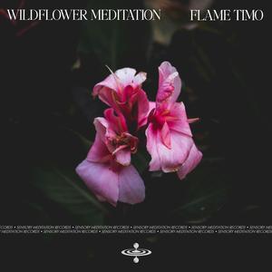 Wildflower Meditation (feat. Jasper Whisper & Sensory Meditation)