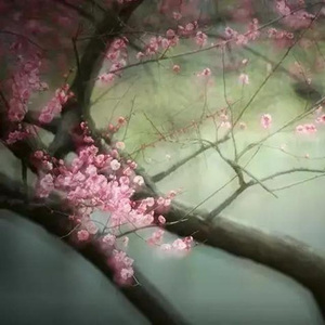 美好心情轻快伴奏