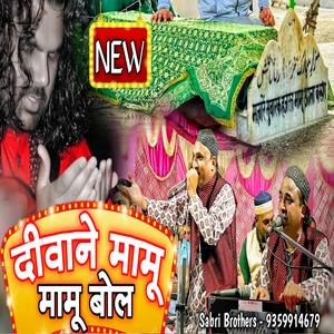 Diwane Mamu Mamu Bol (Mamu Peer Qawwali 2024 Mamu Peer Ki Kavvali)