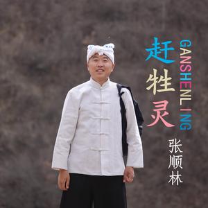 赶牲灵 - 张顺林（Cover 陕北民歌）