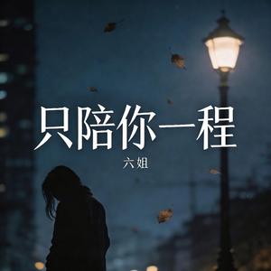 只陪你一程