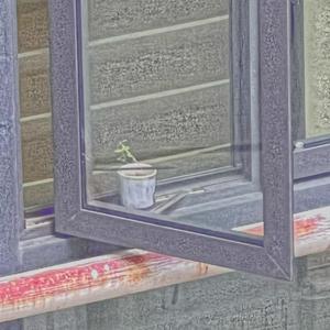 生日快乐（demo）