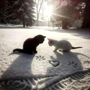 好久没见我们都变了