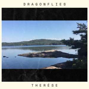 Dragonflies
