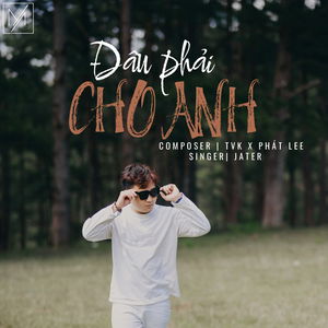 Dau Phai Cho Anh (Lofi Version)