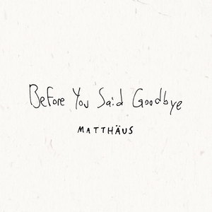 Before You Said Goodbye