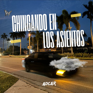 Chingando en los Asientos