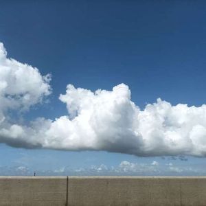 美丽姑娘_流浪骑士