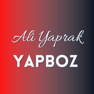 Yapboz