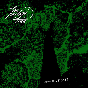 Megera (The Crone from Next Door)