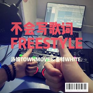 不会写歌词freestyle（feat.Townmove）