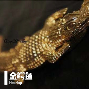 金鳄鱼（prod by AllenJ）