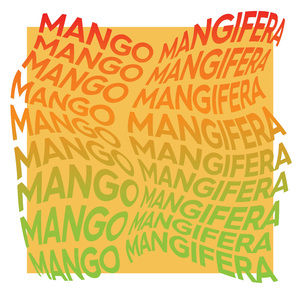 Mango Mangifera