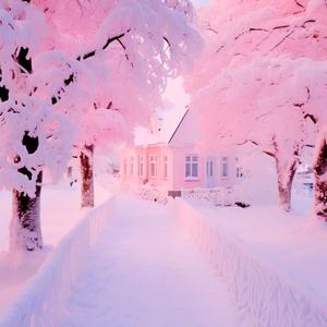 我期待的不是雪（而是有你的冬天） 伴奏