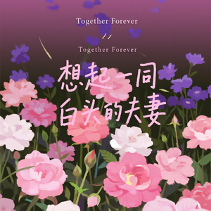 想起一同白头的夫妻（新版）