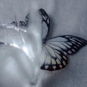 冷空气（prod by PUNISHME ）