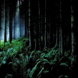 Chapter III - As Leaves Fall