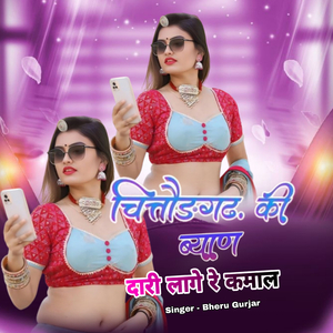 चित्तौड़गढ़ कि बियाण दारी लागे रे कमाल