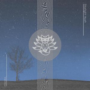 Starpetal Lull (528Hz Sleep Continuity)