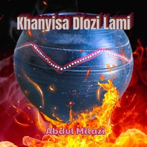 Khanyisa Dlozi Lami