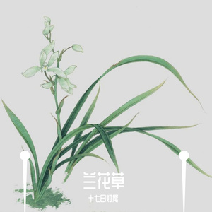 兰花草coverGAI周延