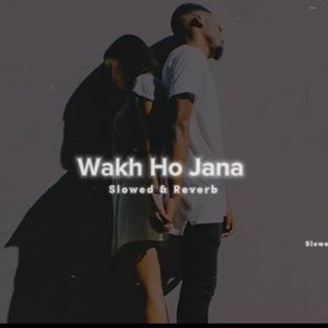 Wakh Ho Jana