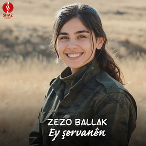 Ey şervanên