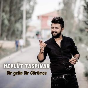 Bir Gelin Bir Görümce