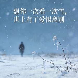 想你一次看一次雪 (世上有了爱恨离别)