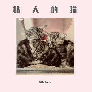 粘人的猫(By：Yondo)