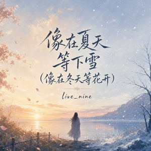 像在夏天等下雪(像在冬天等花开)