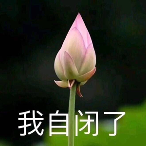 花言花语
