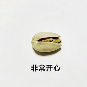 这里会长出一朵花（翻自旅行团乐队）