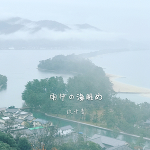 雨中の海眺め
