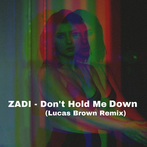 Don't Hold Me Down (Lucas Brown Remix)