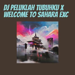 Dj Peluklah Tubuhku X Welcome to Sahara Exc