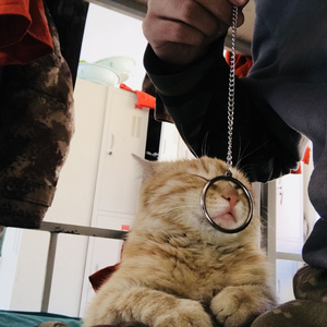 像我这样的人（翻自 Maobuyi）