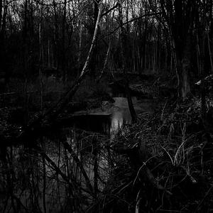 Lurk (feat. Loskii & Lucember)