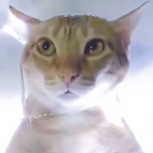 肘击大地（Prod.Eee.T）