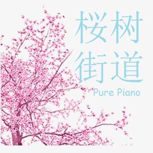 Kozato snow-樱树街道（Pure Piano）