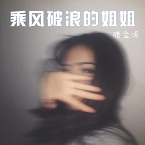 高配人生(段友DJ版)