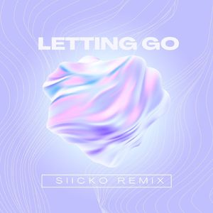 Letting Go(Siicko Remix)