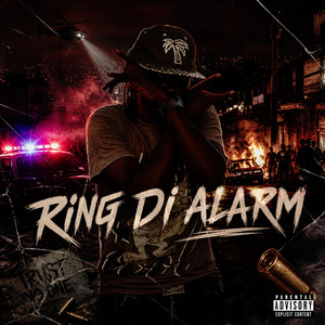 Ring Di Alarm