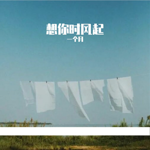 想你时风起(翻自单依纯)