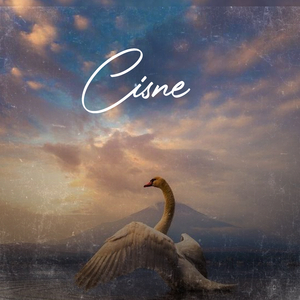 Cisne