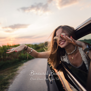 Intellectual Stimulation