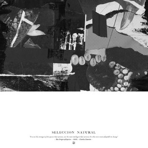 Random Mutations (Original mix)