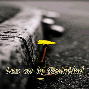 La felicidad no es algo que pospones para el futuro; es algo que diseñas para el presente