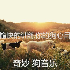 微妙的睡狗心情