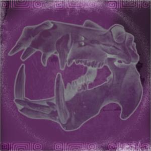 Miami Vices (Instrumental)